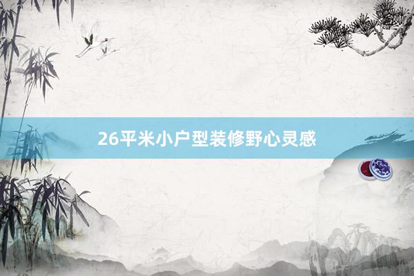 26平米小户型装修野心灵感