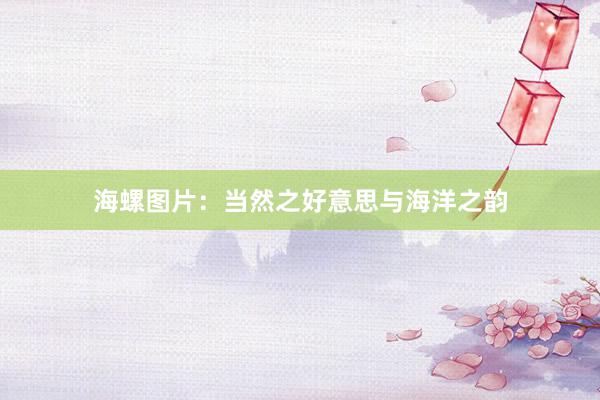 海螺图片：当然之好意思与海洋之韵