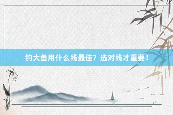 钓大鱼用什么线最佳？选对线才重要！